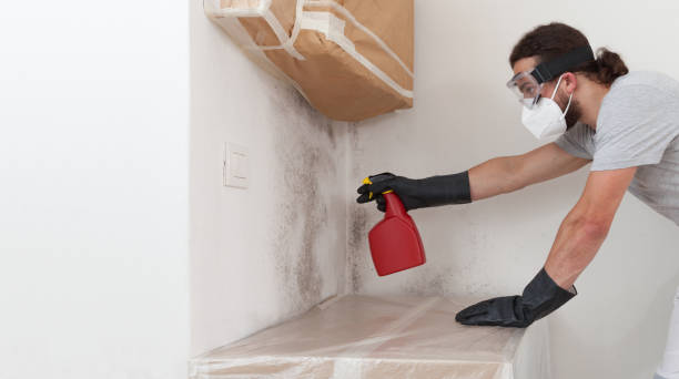Attic Mold Remediation treatment on roof deck in Madison
